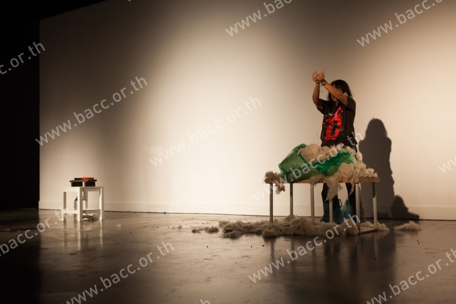 การแสดงภายใต้เทศกาลศิลปะการแสดง ครั้งที่ 4 : Asiatopia International Performance Art Festival